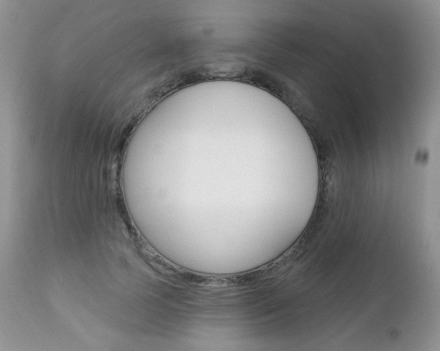 X0000112780745200908201413