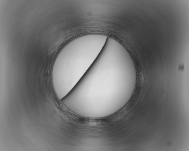 X0000112780746200908201413