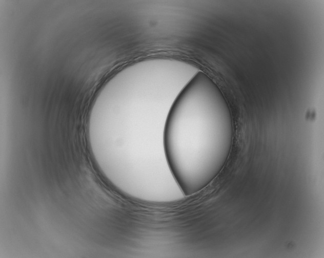 X0000112780748200908201413