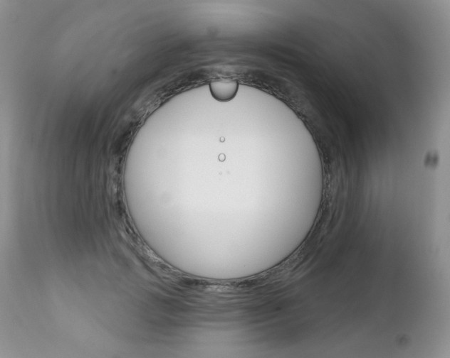 X0000112780749200908201413