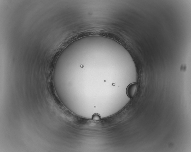 X0000112780750200908201413