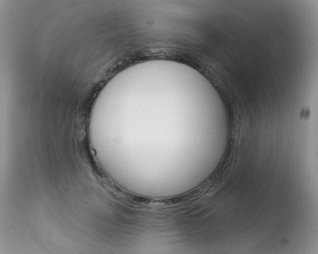 X0000112780751200908201413