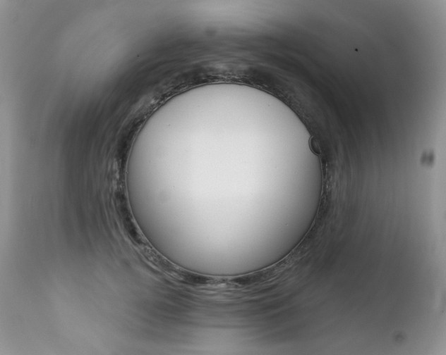 X0000112780752200908201413