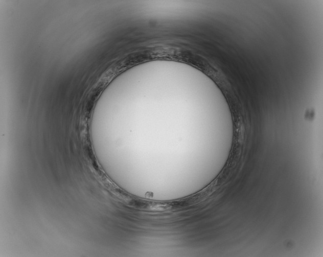 X0000112780753200908201413