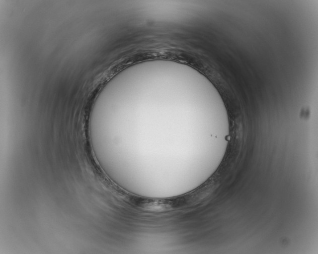 X0000112780754200908201413