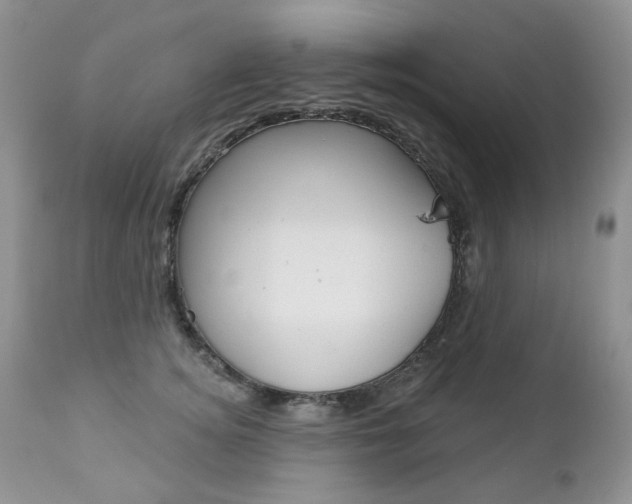 X0000112780756200908201414