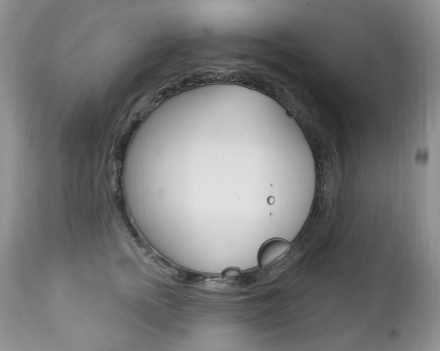 X0000112780758200908201414