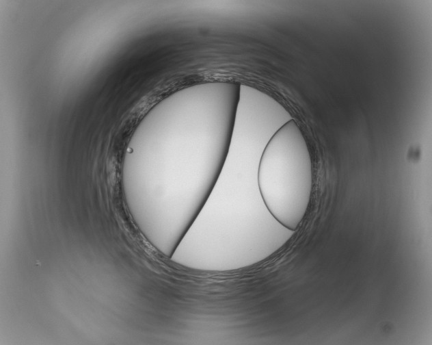 X0000112780761200908201414