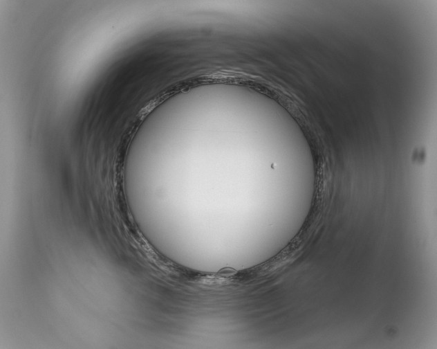 X0000112780762200908201414