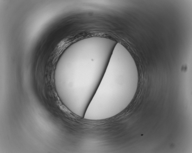 X0000112780763200908201414