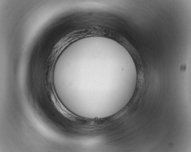 X0000112780765200908201414