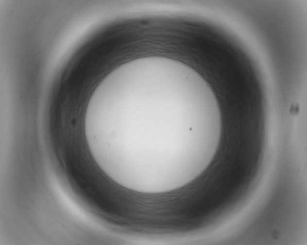 X0000112780766200908201414