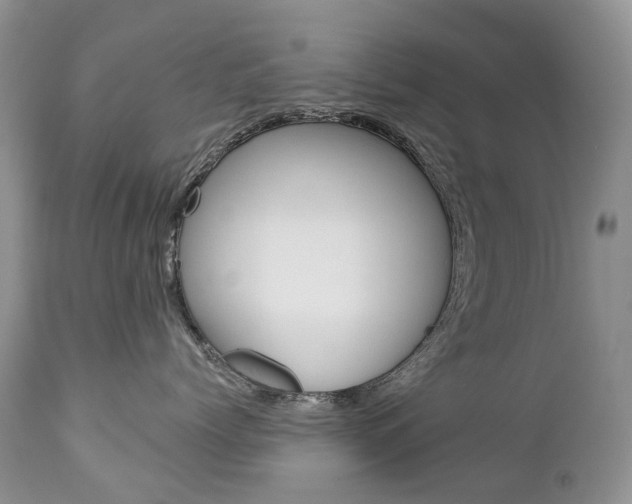 X0000112780768200908201414