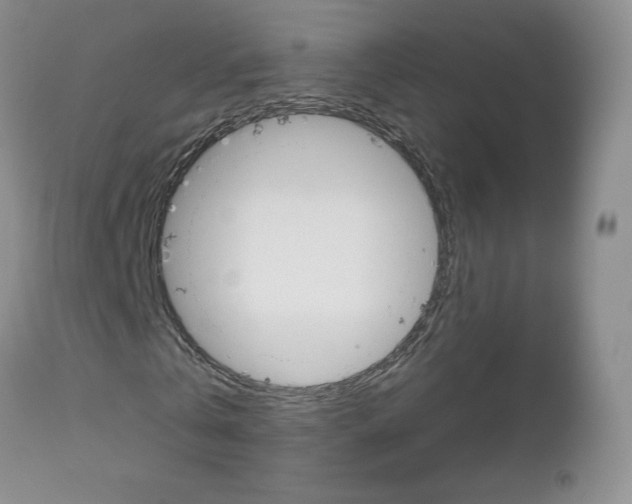 X0000112780769200908201413