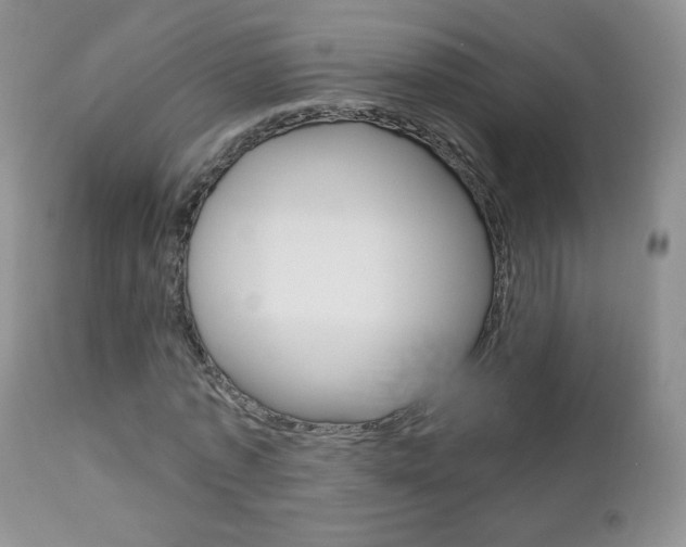 X0000112780773200908201413
