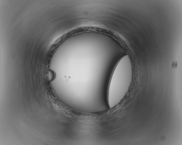 X0000112780775200908201413