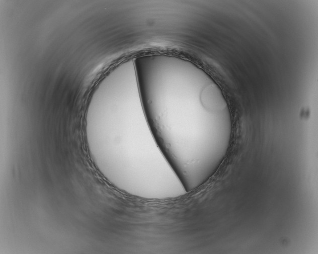 X0000112780776200908201413