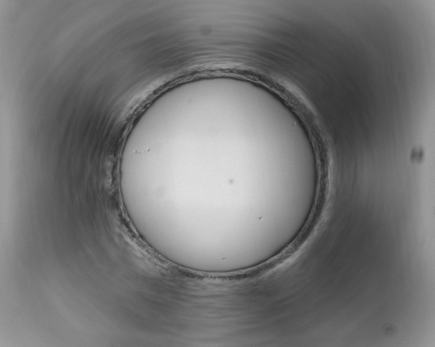 X0000112780777200908201413