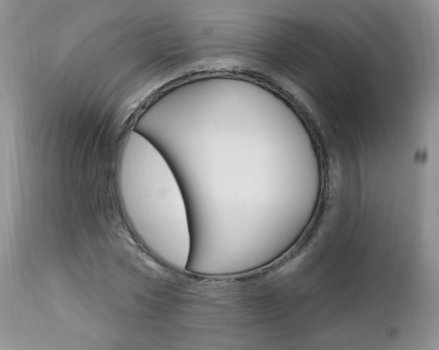 X0000112780778200908201413