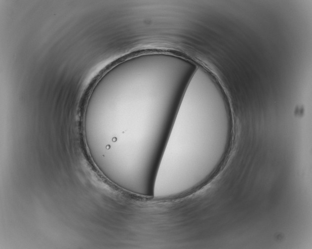 X0000112780779200908201413