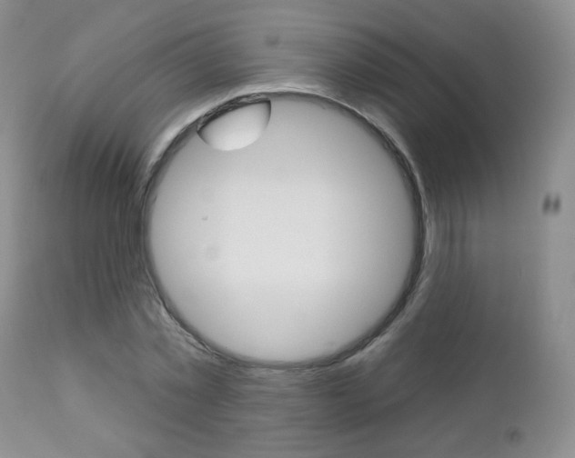 X0000112780781200908201413