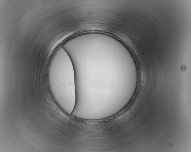 X0000112780782200908201413