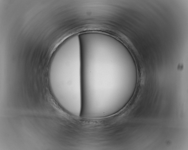 X0000112780786200908201413