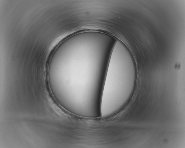 X0000112780787200908201413
