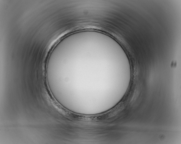 X0000112780790200908201413