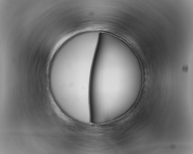 X0000112780792200908201413