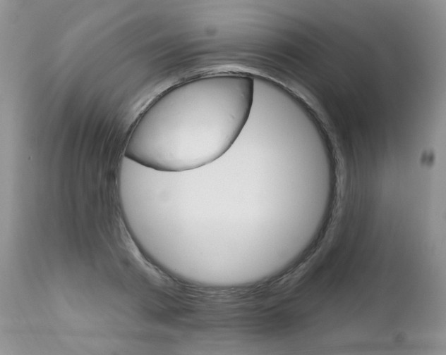 X0000112780793200908201413