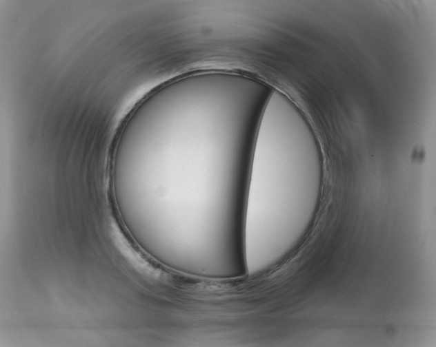 X0000112780795200908201413