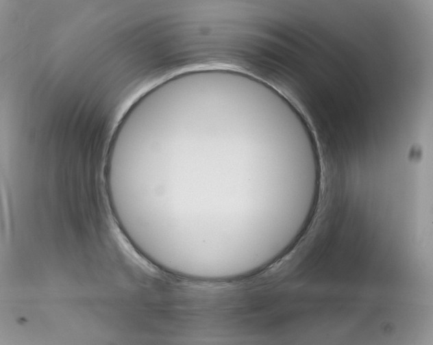 X0000112780797200908201413