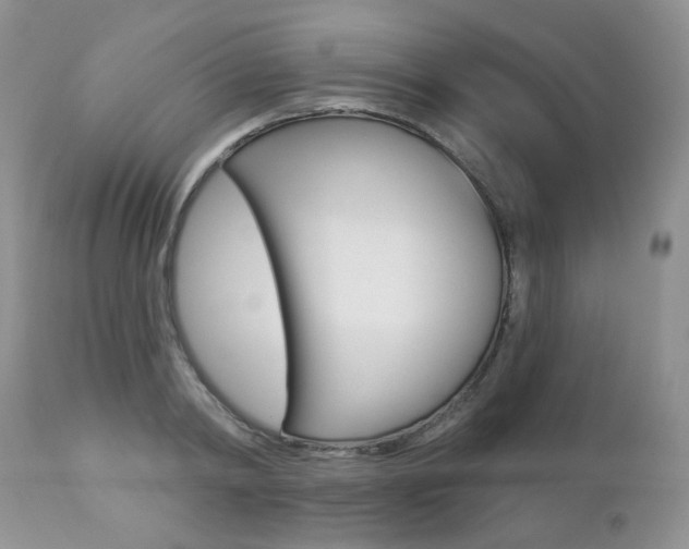 X0000112780798200908201413
