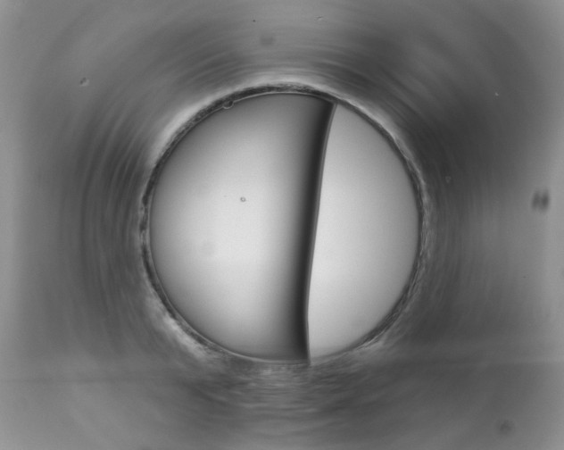 X0000112780799200908201413