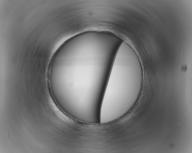 X0000112780803200908201412