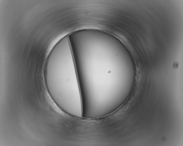 X0000112780804200908201412