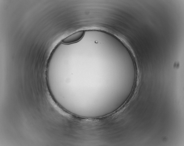 X0000112780805200908201412