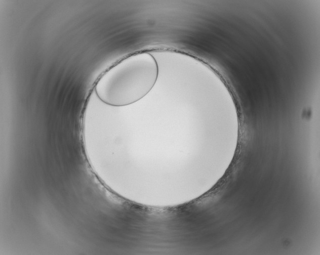 X0000112780807200908201412