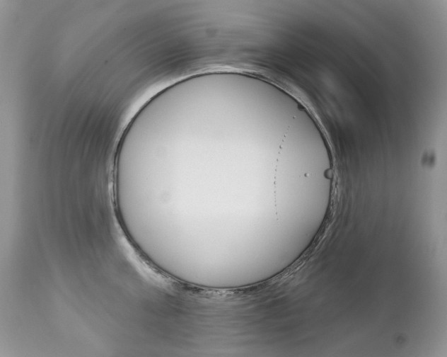 X0000112780811200908201412