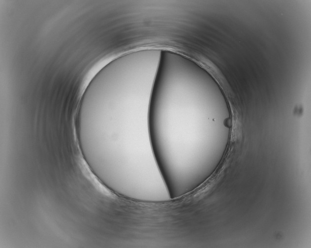 X0000112780812200908201412