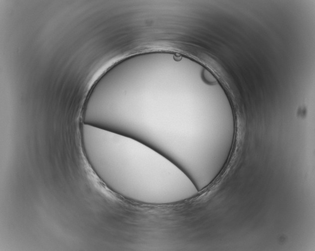 X0000112780814200908201412