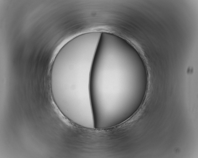 X0000112780816200908201412