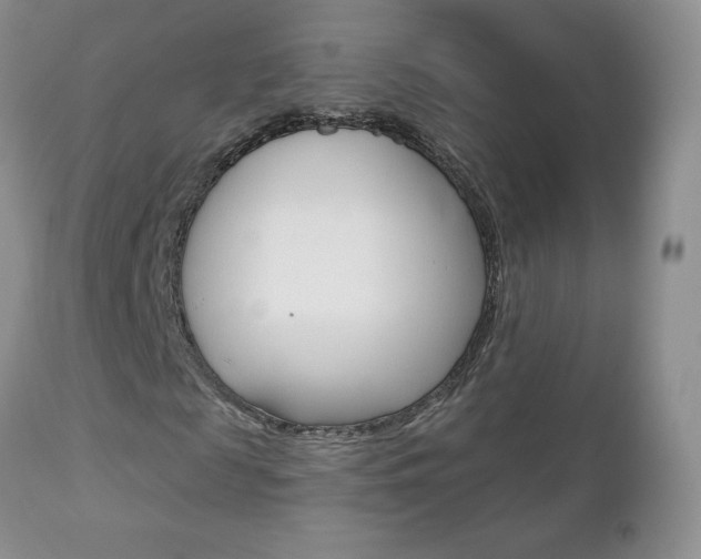 X0000112780817200908201411
