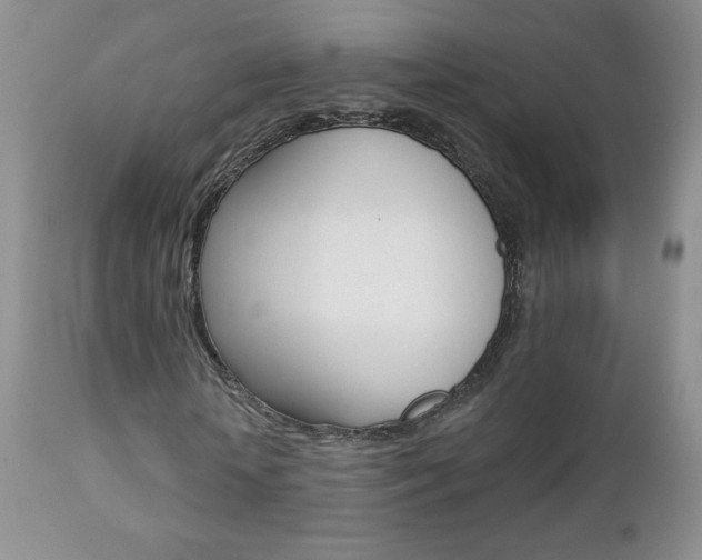 X0000112780818200908201411