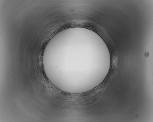 X0000112780819200908201411