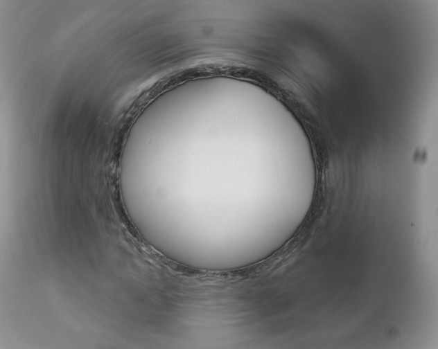X0000112780822200908201411