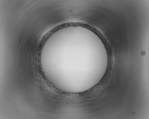 X0000112780823200908201411