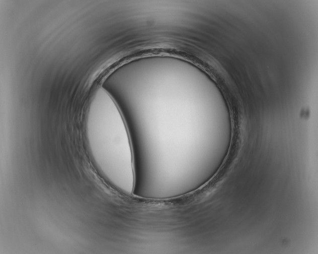 X0000112780826200908201411