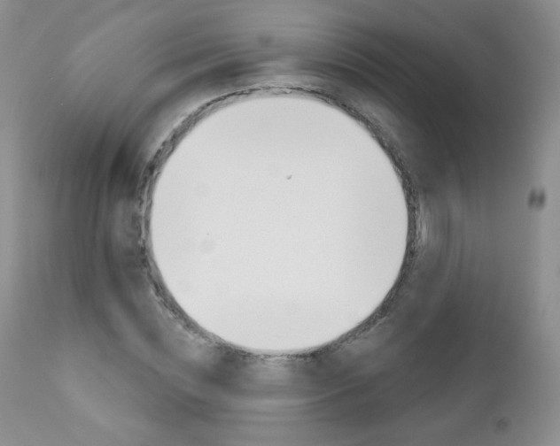 X0000112780828200908201412